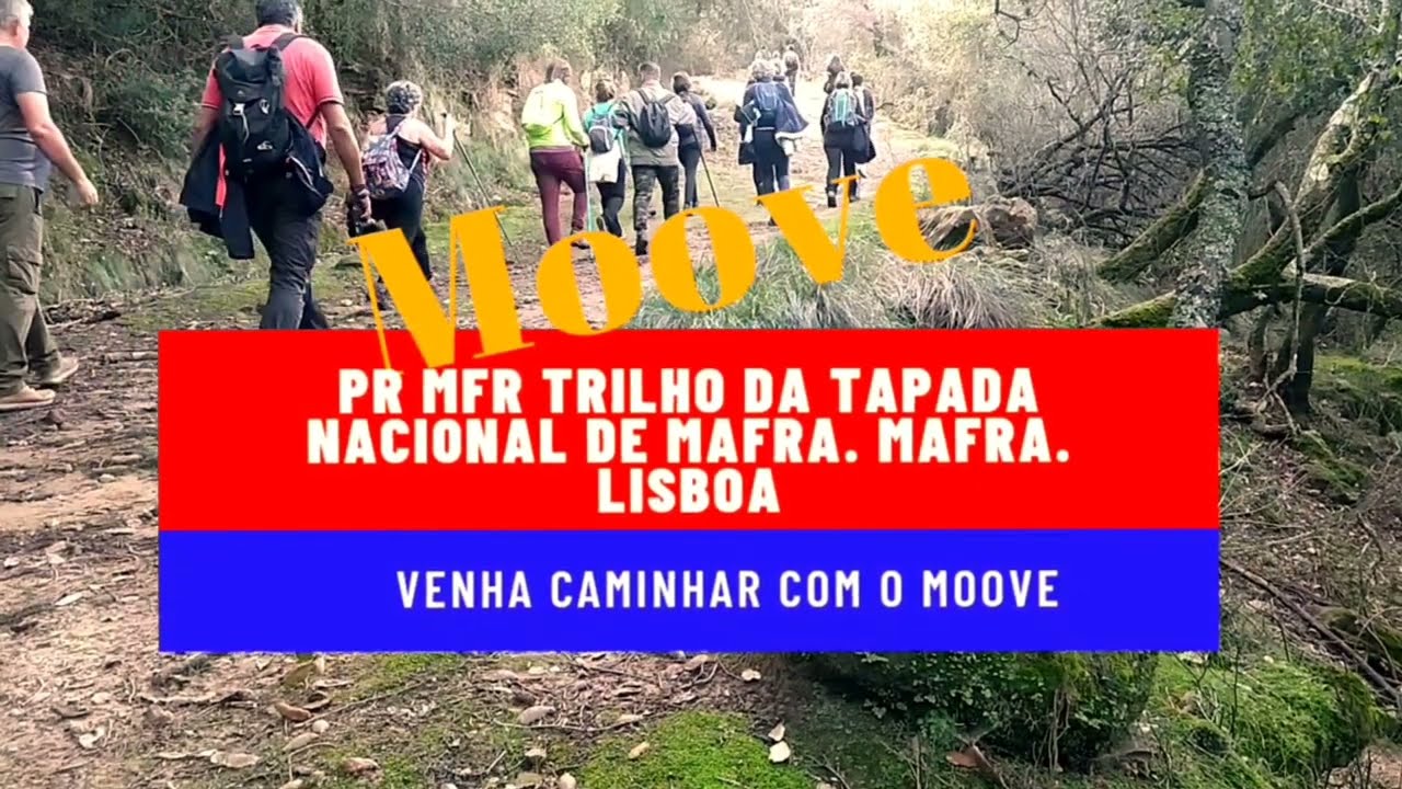 PR MFR Trilho da Tapada Nacional de Mafra. Mafra. Lisboa