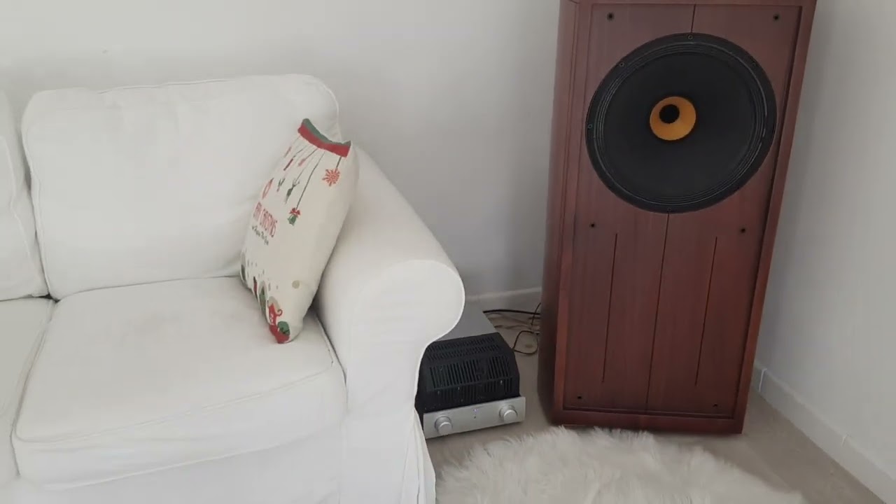 OATLON speakers  , AUDIOROMY 828 FU29 tube amplifier