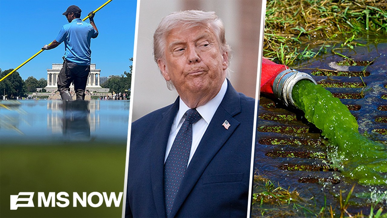 Trump&rsquo;s reflecting pool makeover FAILS in spectacular fashion