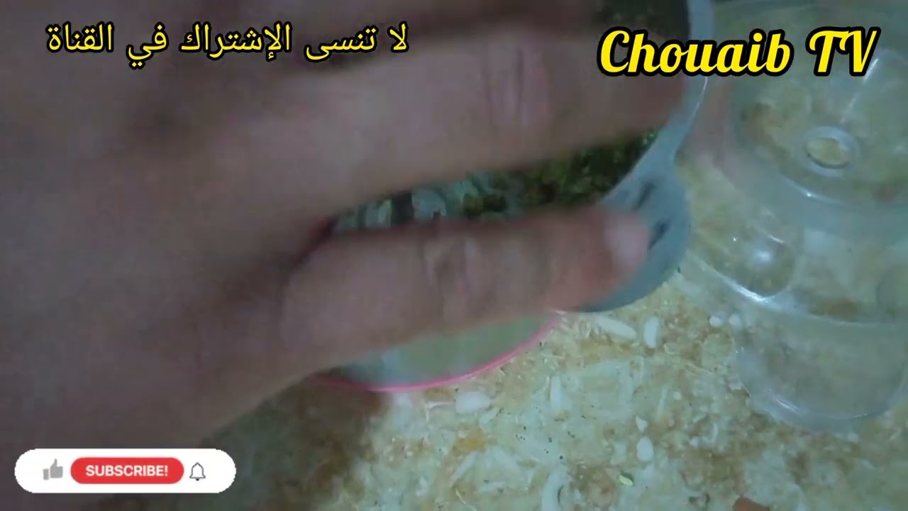 باتي مفيد جدا للطيور (تغذية جيدة=مناعة مرتفعة وصحة جيدة)