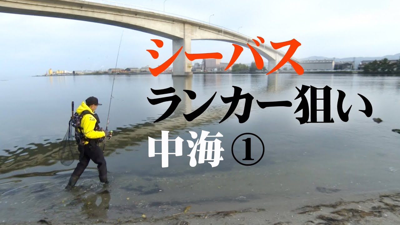ランカーの宝庫・島根県中海で冬の大型シーバスに挑む 1/2 『Dz SALT 112』【釣りビジョン】