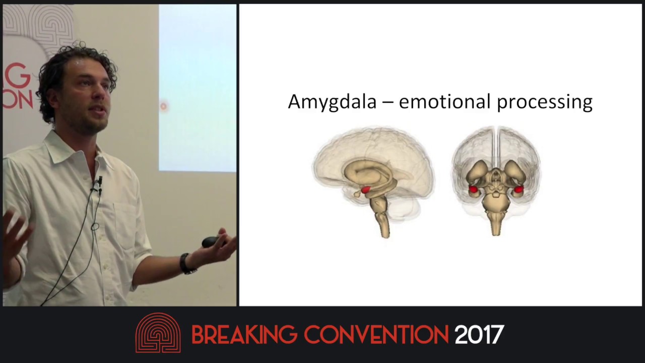 Leor Roseman - Amygdala Reactivity & Symptom Improvement After Psilocybin Treatment For Depression