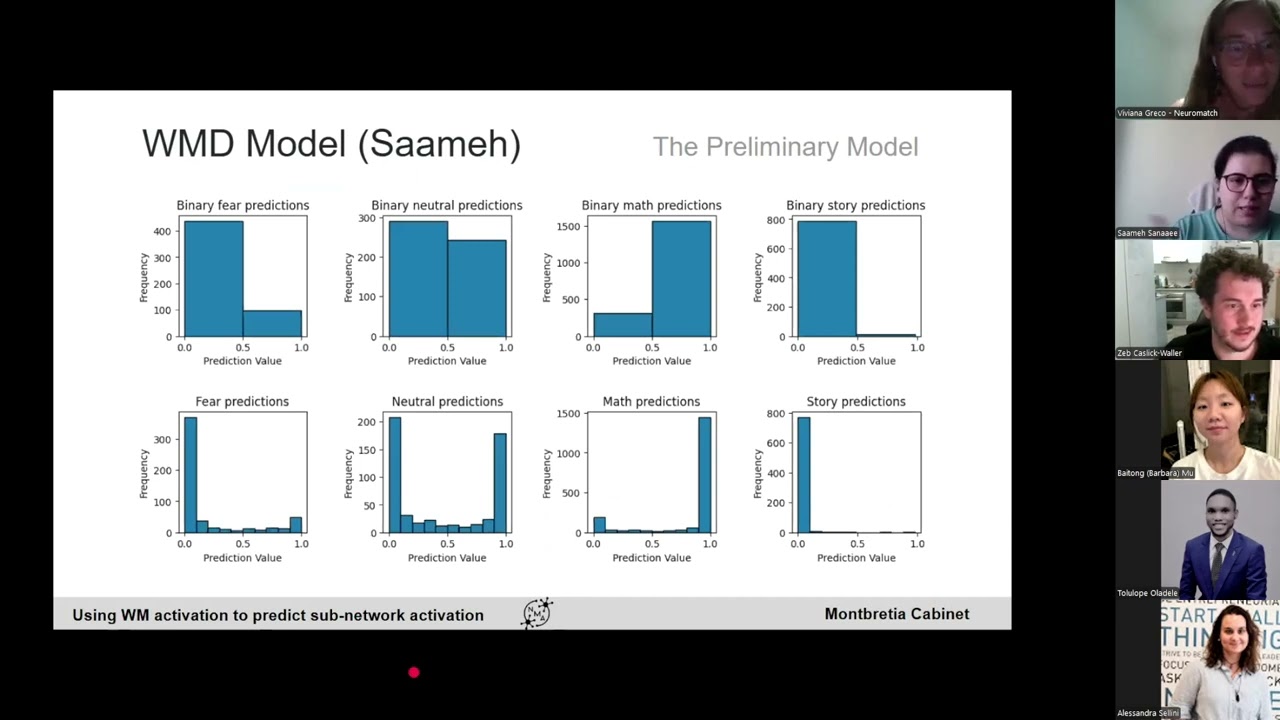 Working Memory Involvement in Higher Cognition: Insights from fMRI Modeling
