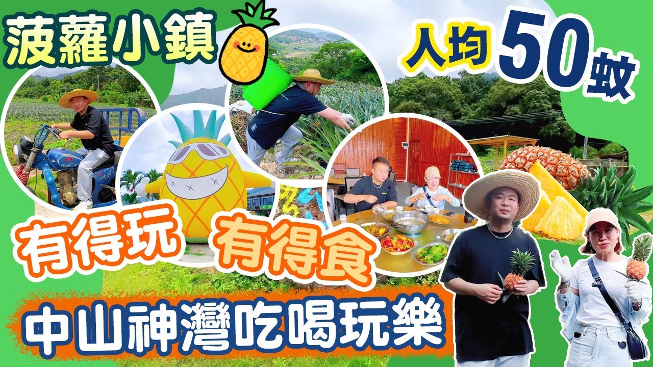 中山吃喝玩樂 ¥50窮遊中山人氣景點 神灣菠蘿小鎮 仲可以即摘即煮