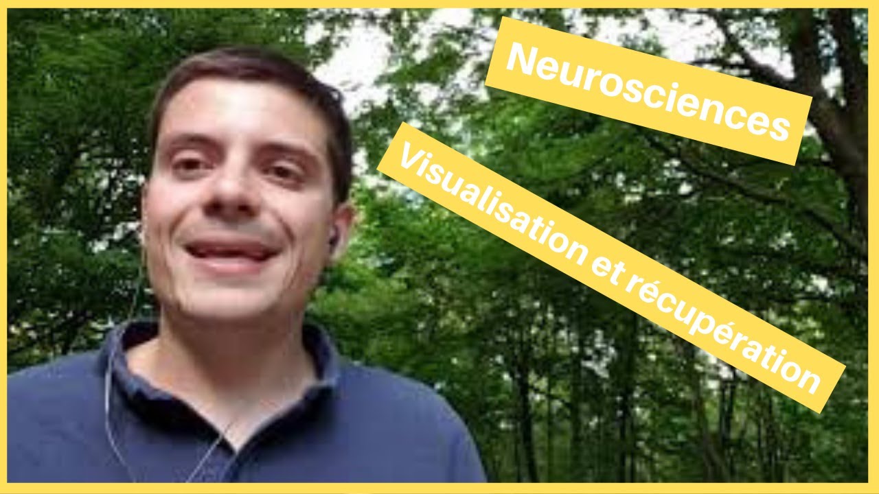Neurosciences : visualiser pour mieux récupérer !