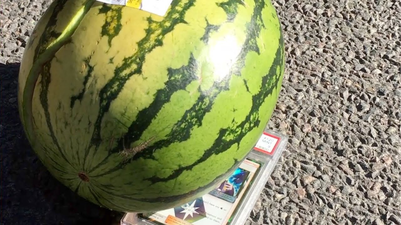 Dropping A Huge Watermelon On Highly Graded Pokémon PSA Card