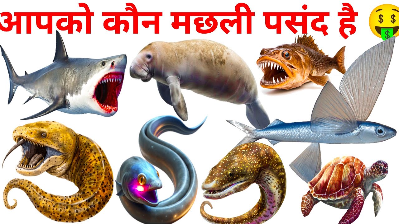 Sea animals 🤑🤑 kids educational video, dangerous animal movie 🤑kids in hindi medium school learning 