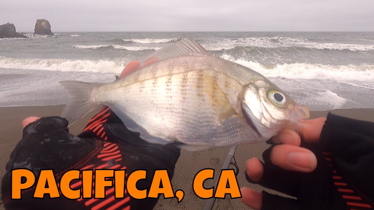 Surf Fishing The Beach Up In NorCal! :D Pacifica CA