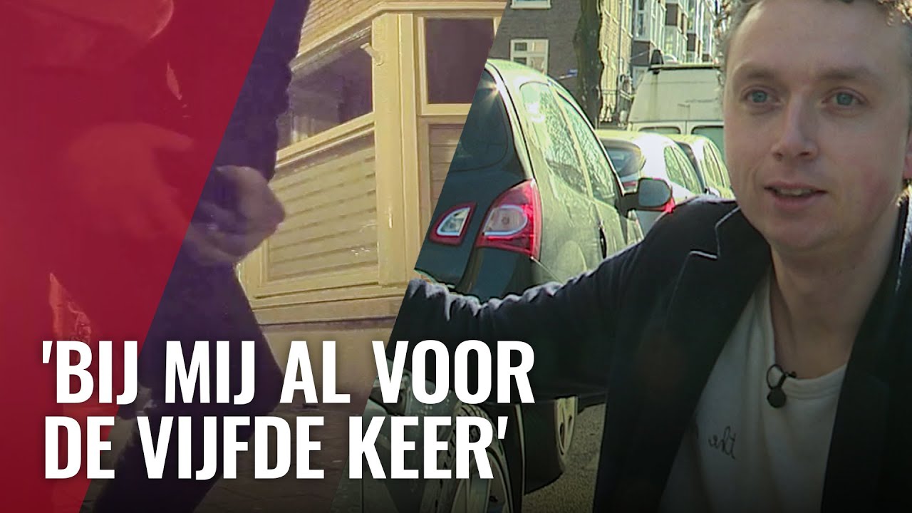 Spiegels van Tesla's massaal gestolen