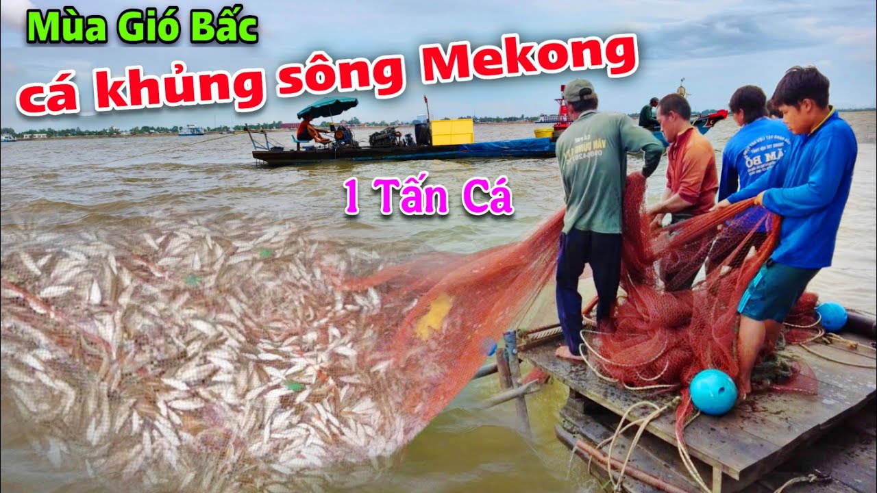 Tưng bừng