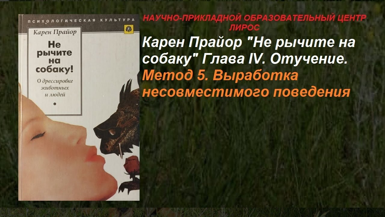 248 Карен Прайор 