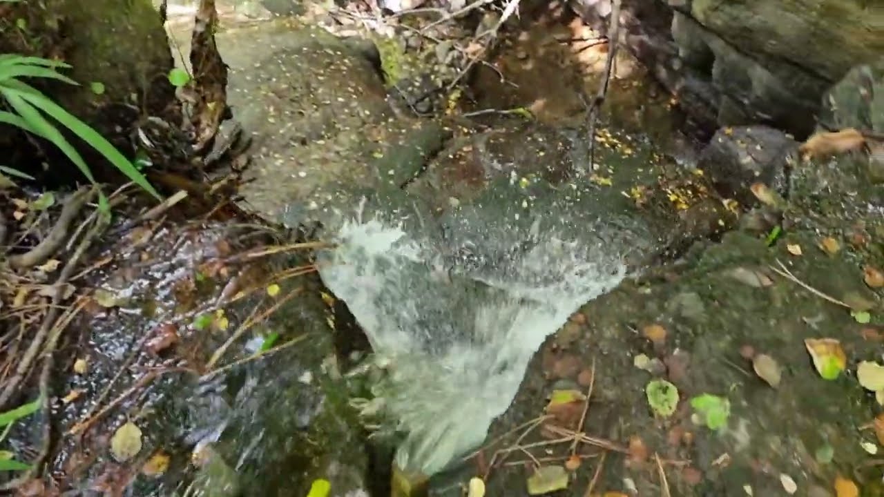 Senda Ruta Río Eifonso 4K