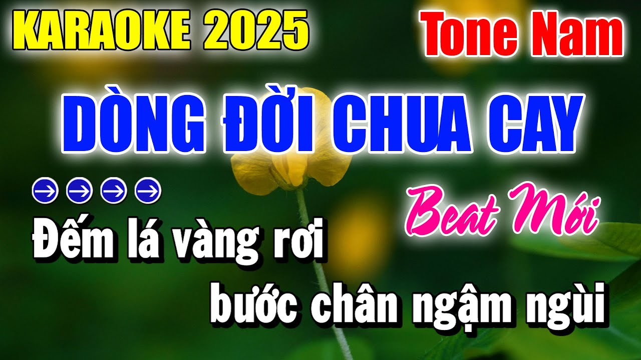 Karaoke Dòng Đời Chua Cay Tone Nam ( Beat Cực Hay ) Karaoke Thanh Duy