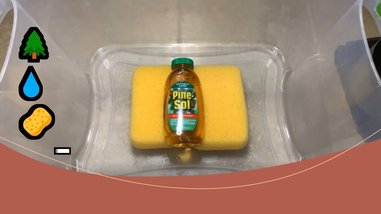 🌲💧🧽Requested! ASMR Boiling Water & Pinesol Sponge Squeezing!🧽💧🌲