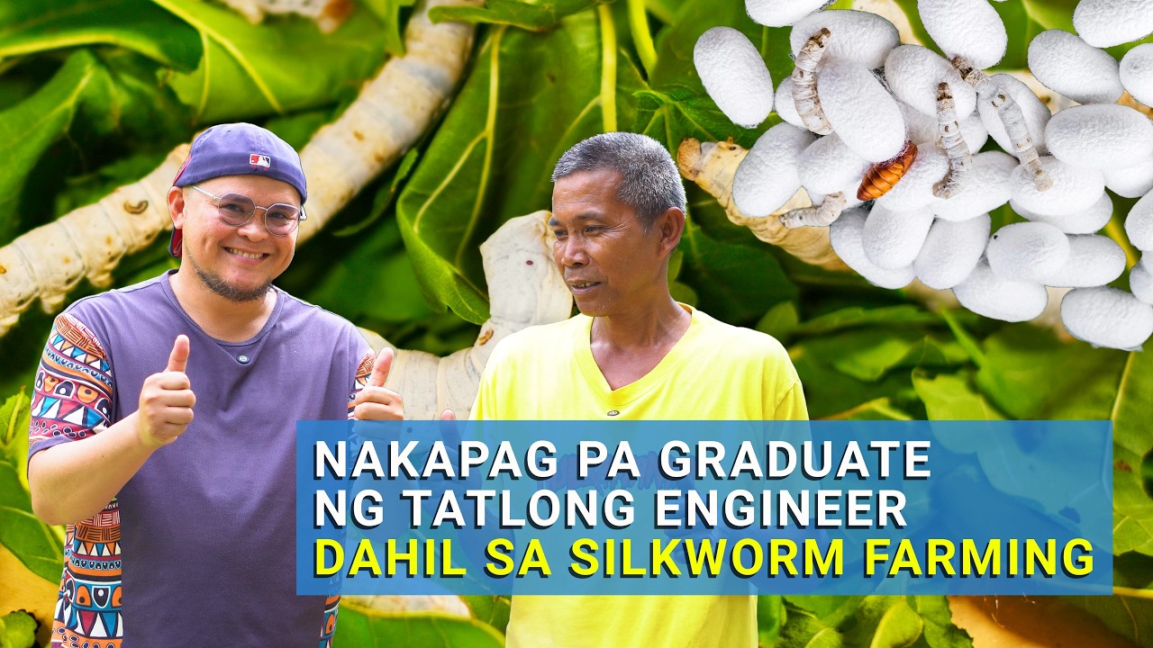 Silkworm Farming - Nakapag Pa-graduate ng Tatlong Engineer