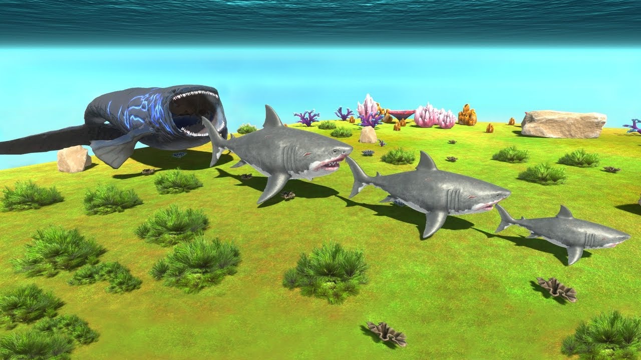 Bloop vs Small to Big Megalodon | Animal Revolt Battle Simulator