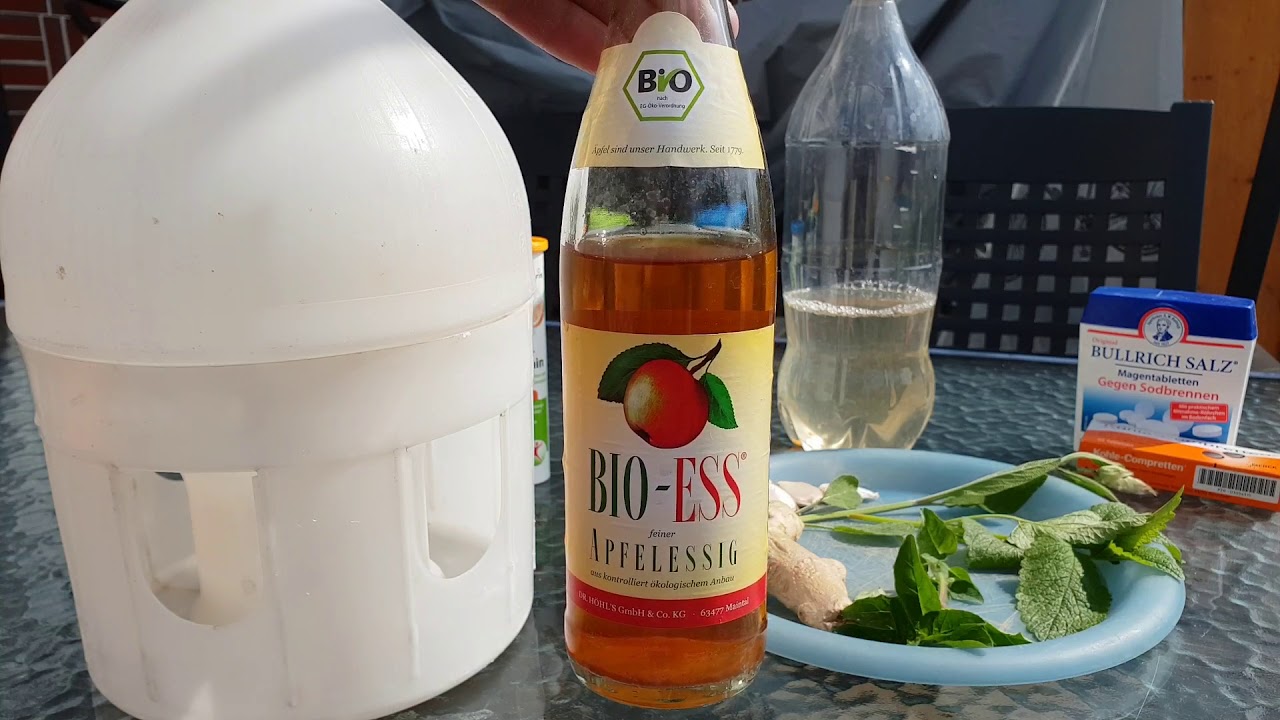 Gesundes Trinken f&uuml;r Tauben (Gefl&uuml;gel)
