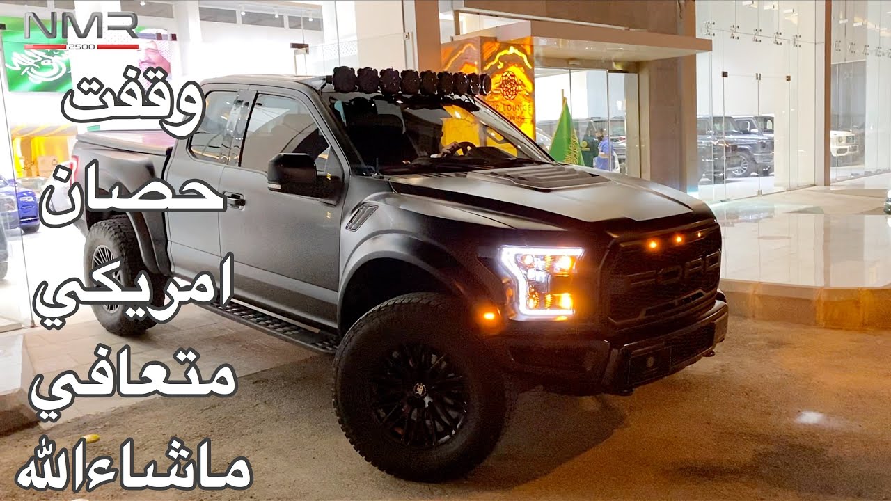 رابتر  معدل وقفتة وقفت حصان امريكي