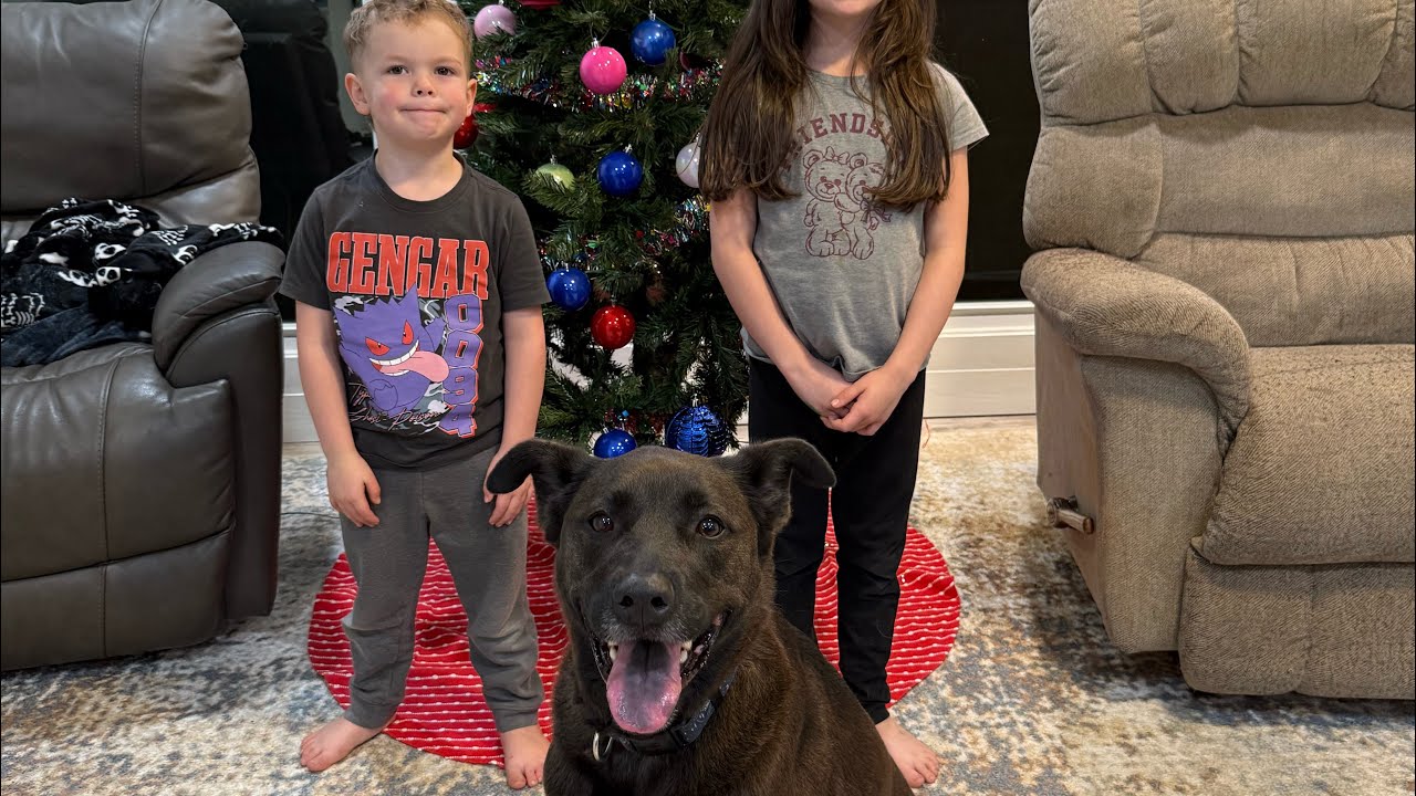 Rory- kids & dog reactivity training 