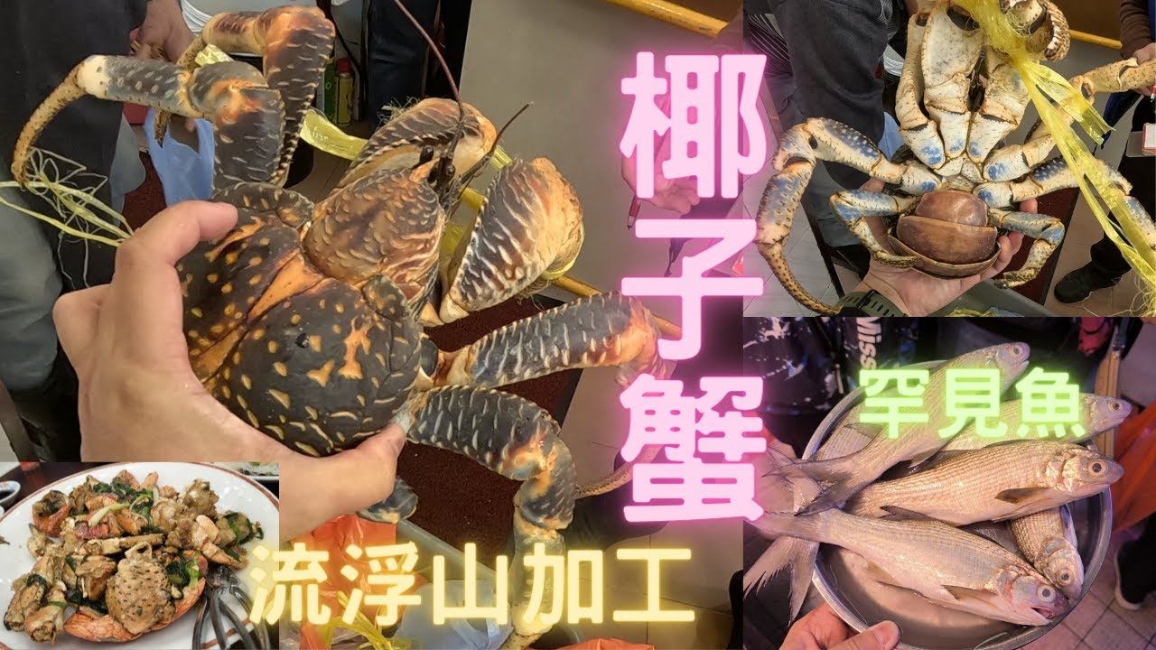 恭喜發財,年年有魚❗椰子蟹💥好多年冇見,更係唔放過,加工試下港式風味🥰又見特別魚種,馬友特別版🤣屋企食飯有好野😍流浮山加工fishcutting香港海鮮~社長遊街市Seafood