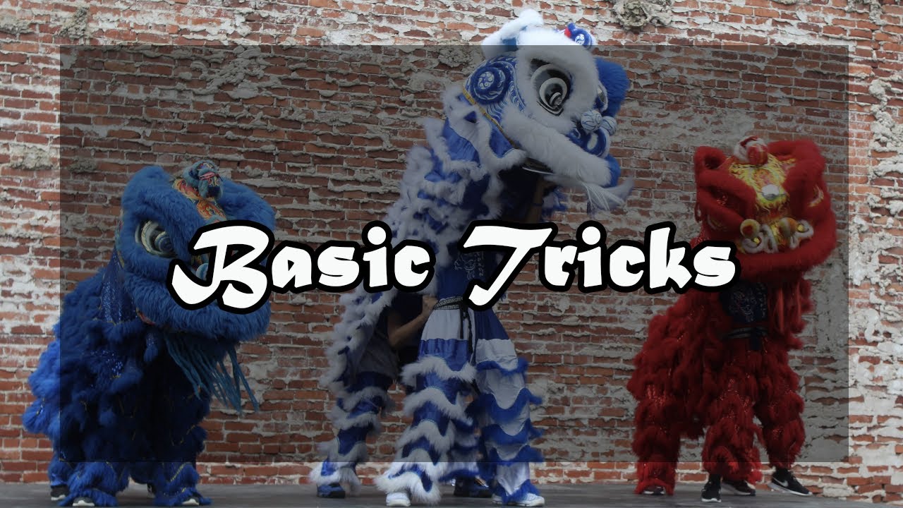 How to do basic lion dance tricks