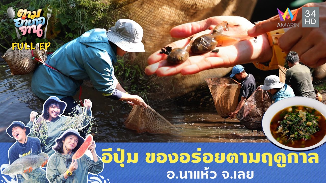 อีปุ่ม ของอร่อยตามฤดูกาล อ.นาแห้ว จ.เลย | ตามอำเภอจาน | 18 มี.ค. 68 Full EP