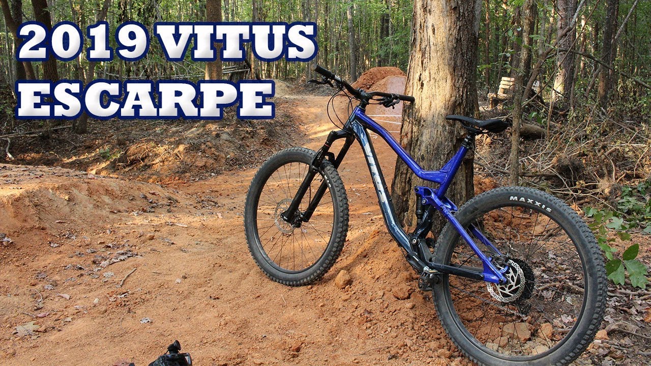 Vitus Escarpe Review (2019)