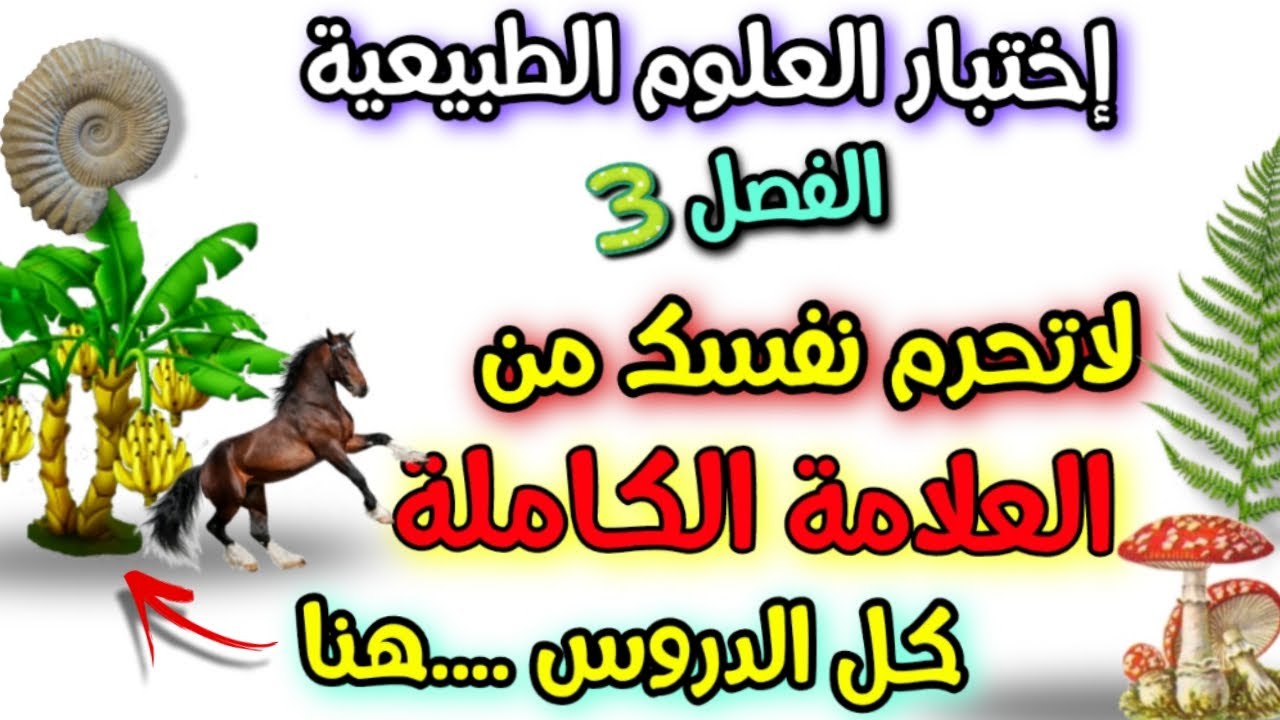 حل اخر اختبار الفصل الثالث العلوم الطبيعية السنة الثانية متوسط/ شامل لكل الدروس