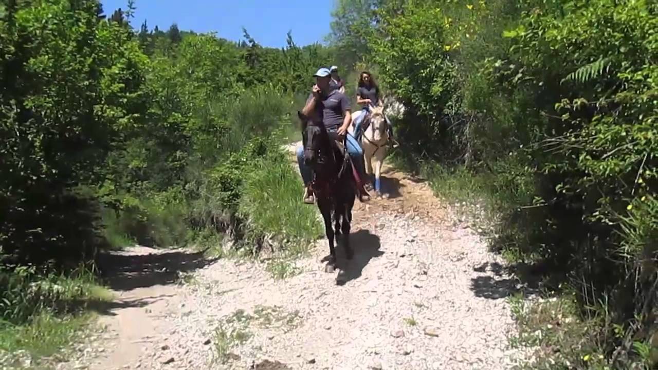 1° Raduno Campania a Cavallo in Tour