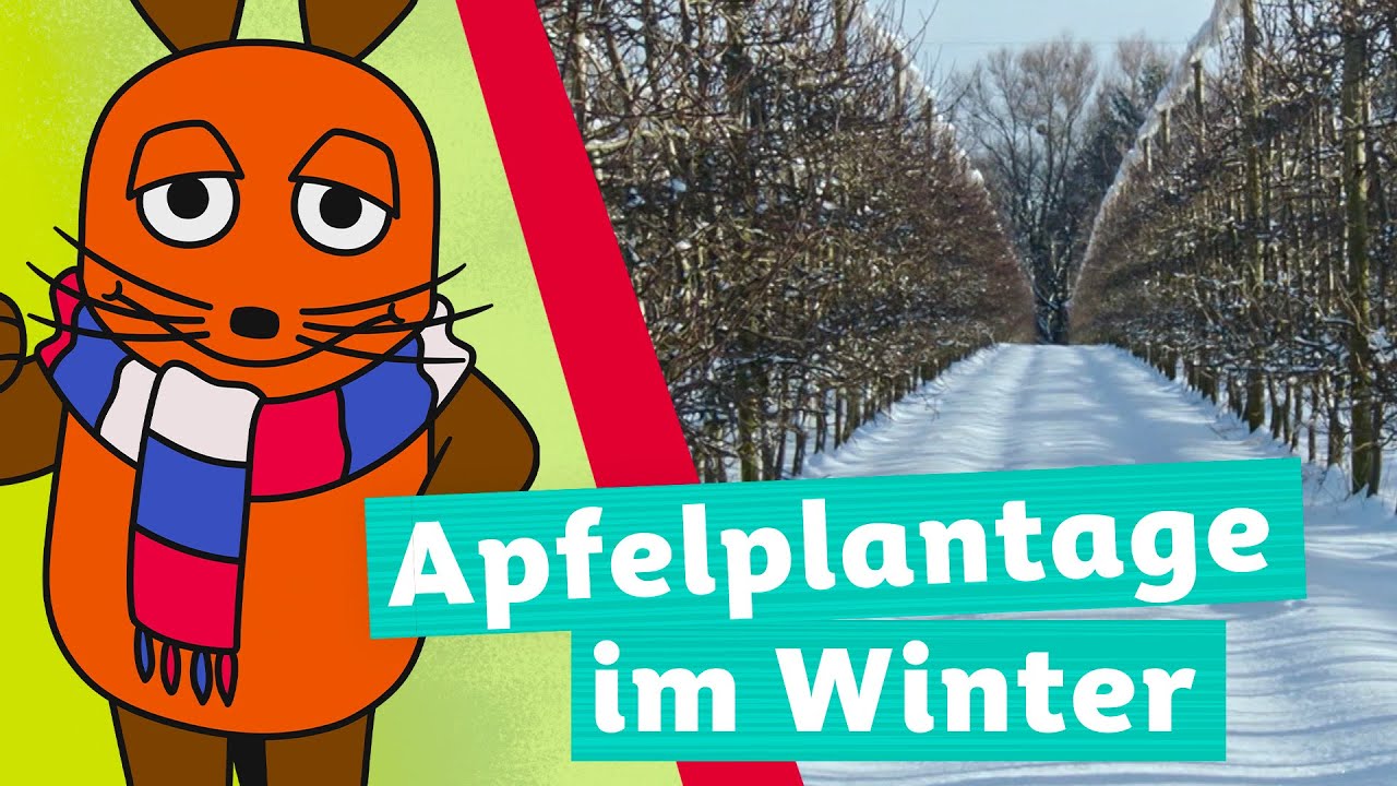 Was passiert mit den Äpfeln im Winter? | Die Maus | WDR