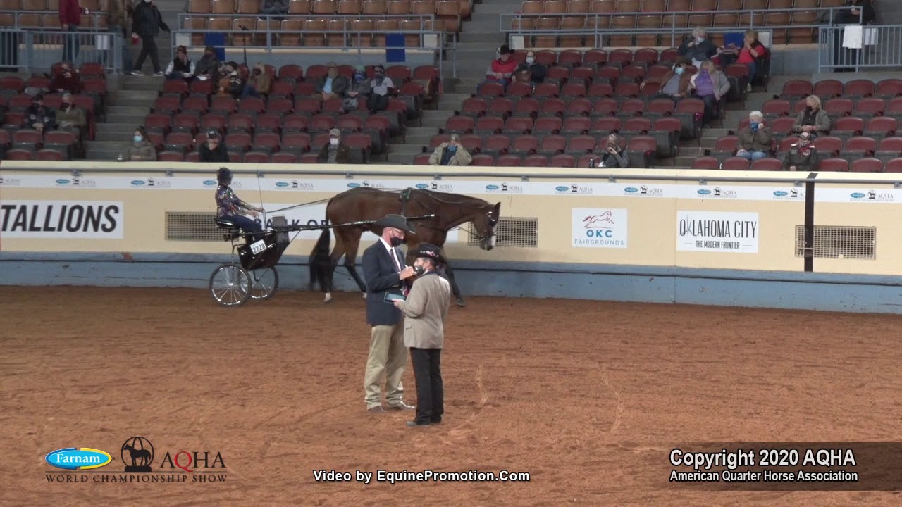 2020 AQHA Select Pleasure Driving