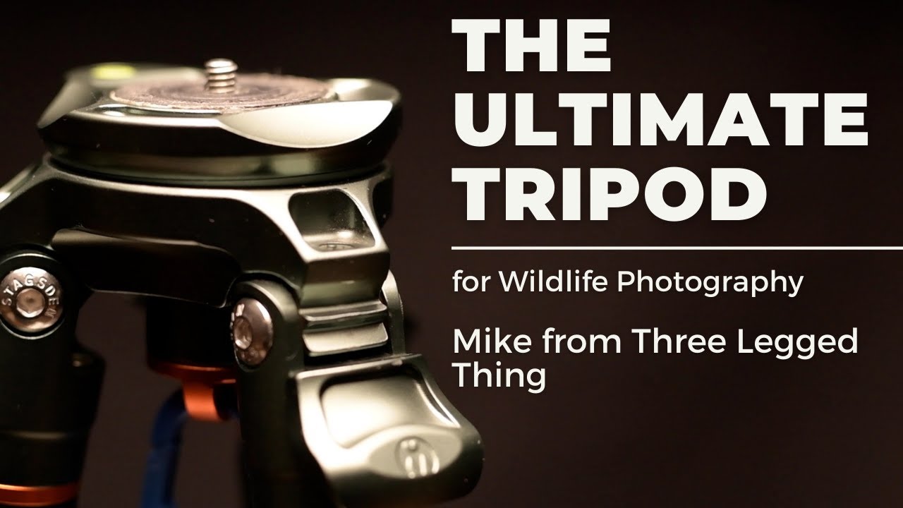 The Ultimate Tripod for Wildlife Photography - a review of the 'Mike' Tripod from Three Legged Thing