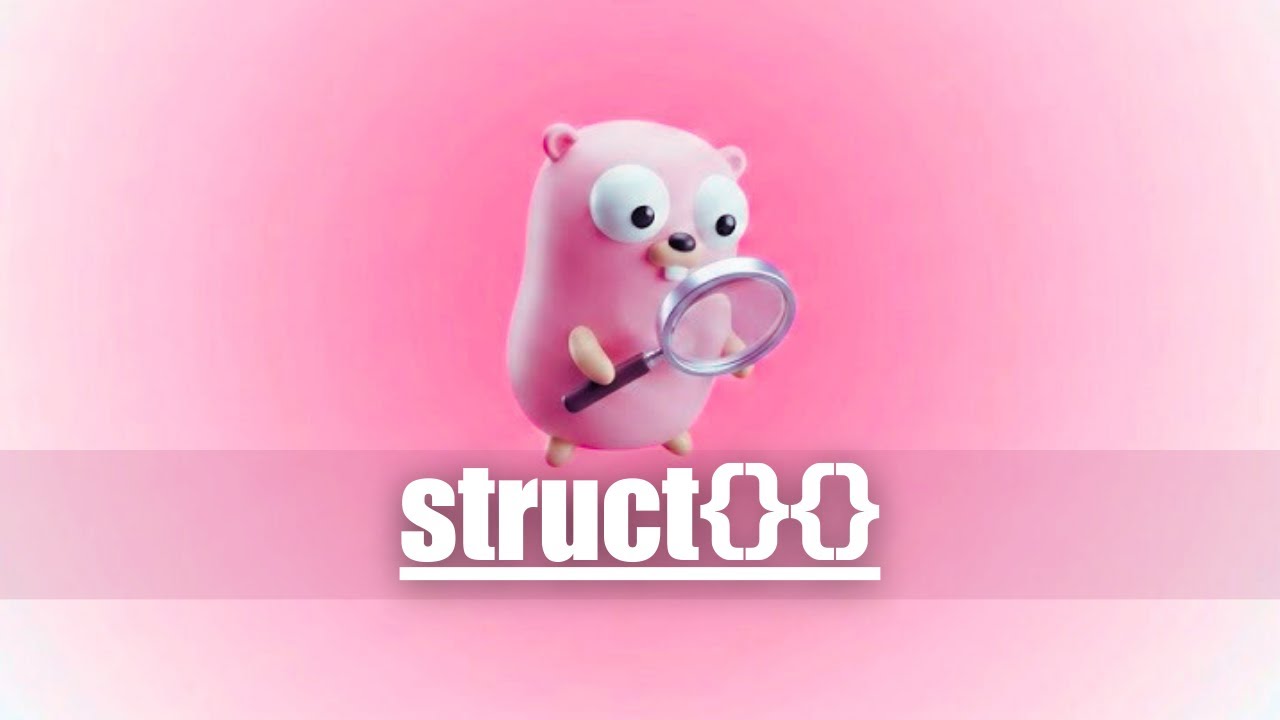 Why Go Developers Use struct{}{}