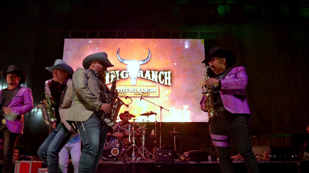 King Ranch - Huapango la Bestia Feat. Los Rugar (V&iacute;deo Oficial 2019)
