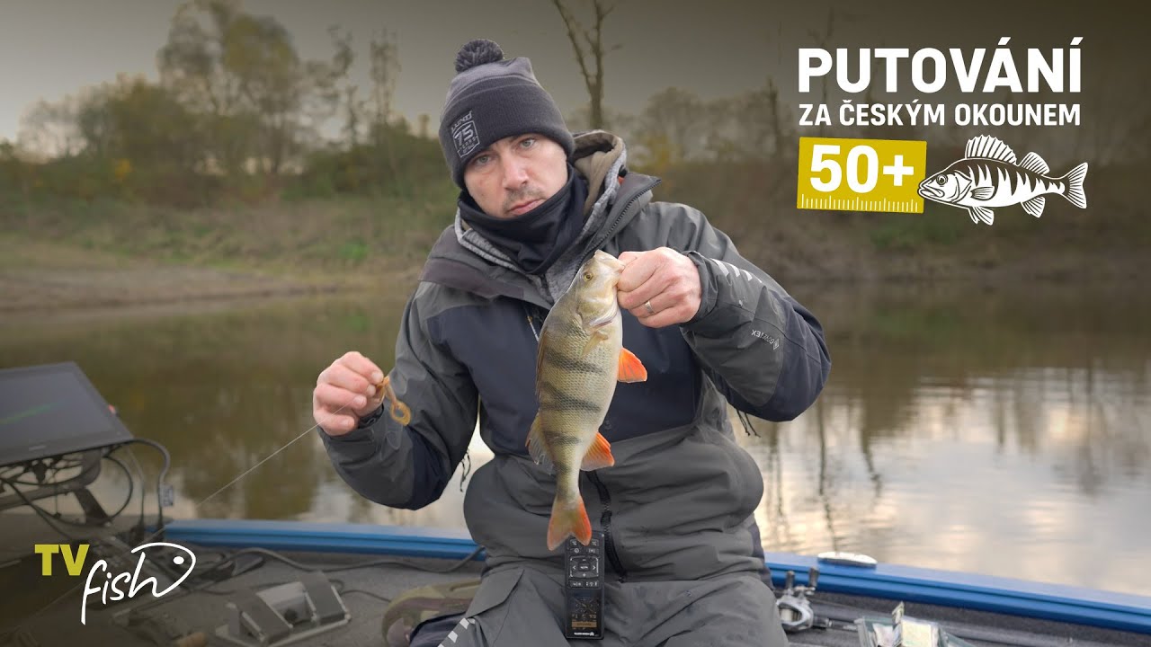 Putov&aacute;n&iacute; za česk&yacute;m okounem 50cm+ | Honza 