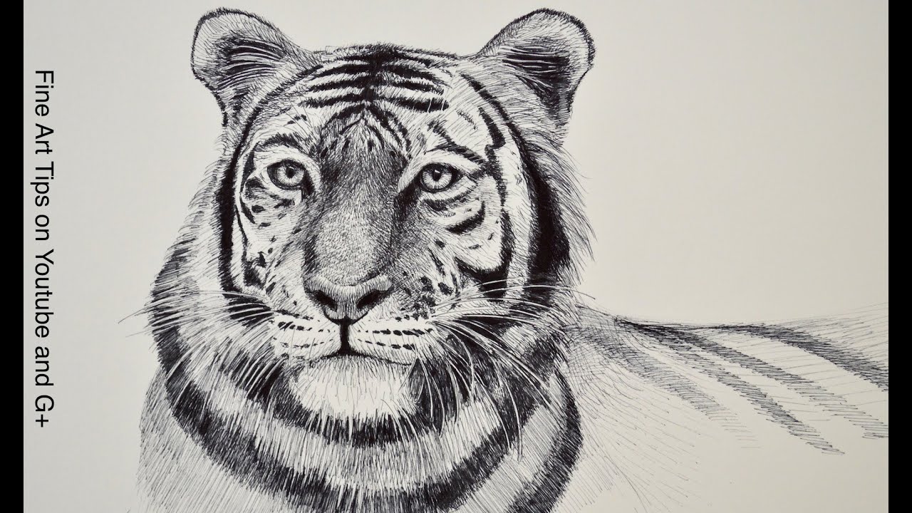 Free Drawing Tutorials: Learn to Draw With Fine Art-Tips