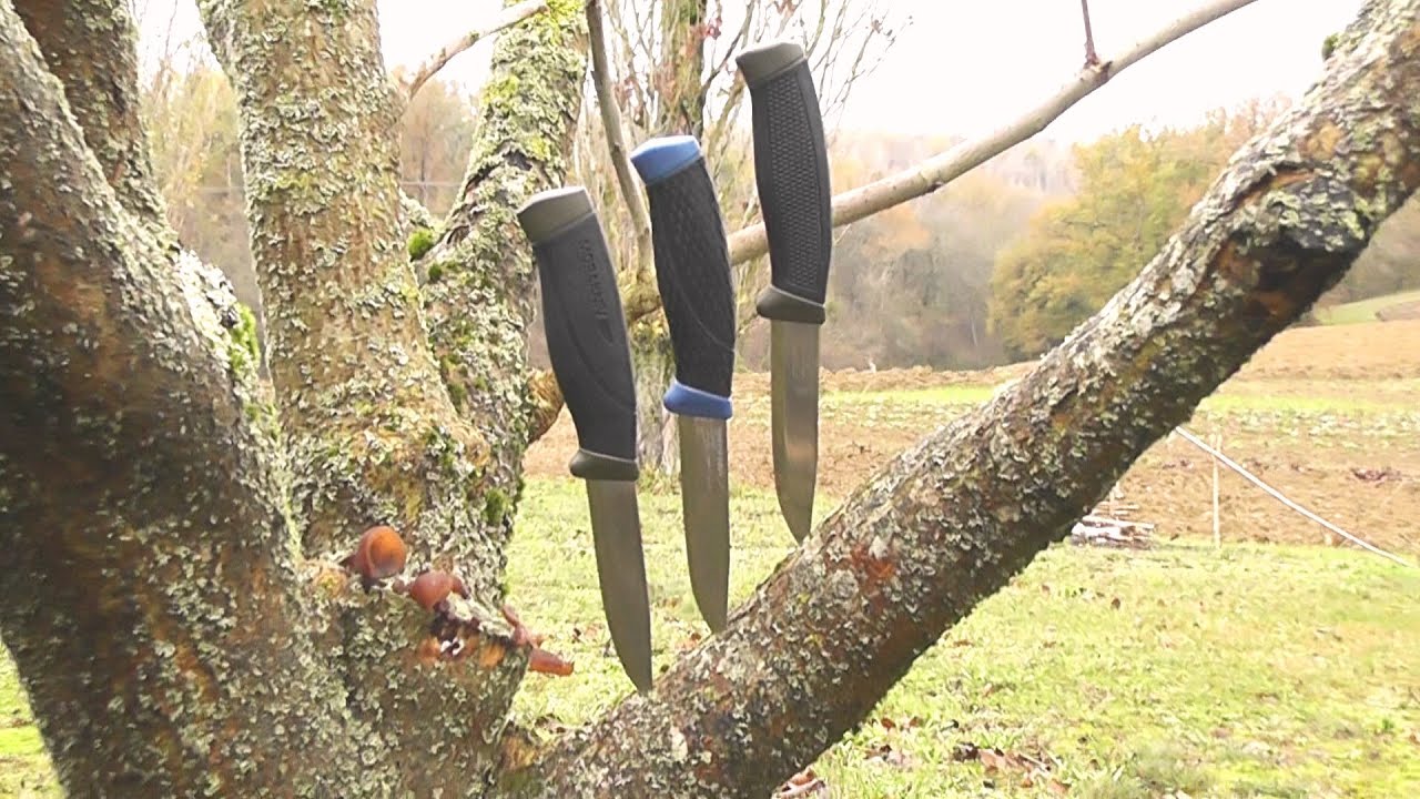 Mora Companion Heavy Duty MG Review (Fr)