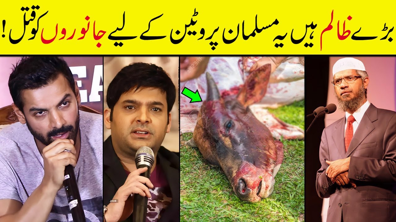 Bakra Eid 2025 - Kapil Sharma And John Abraham VS Dr Zakir Naik - Peace Tv