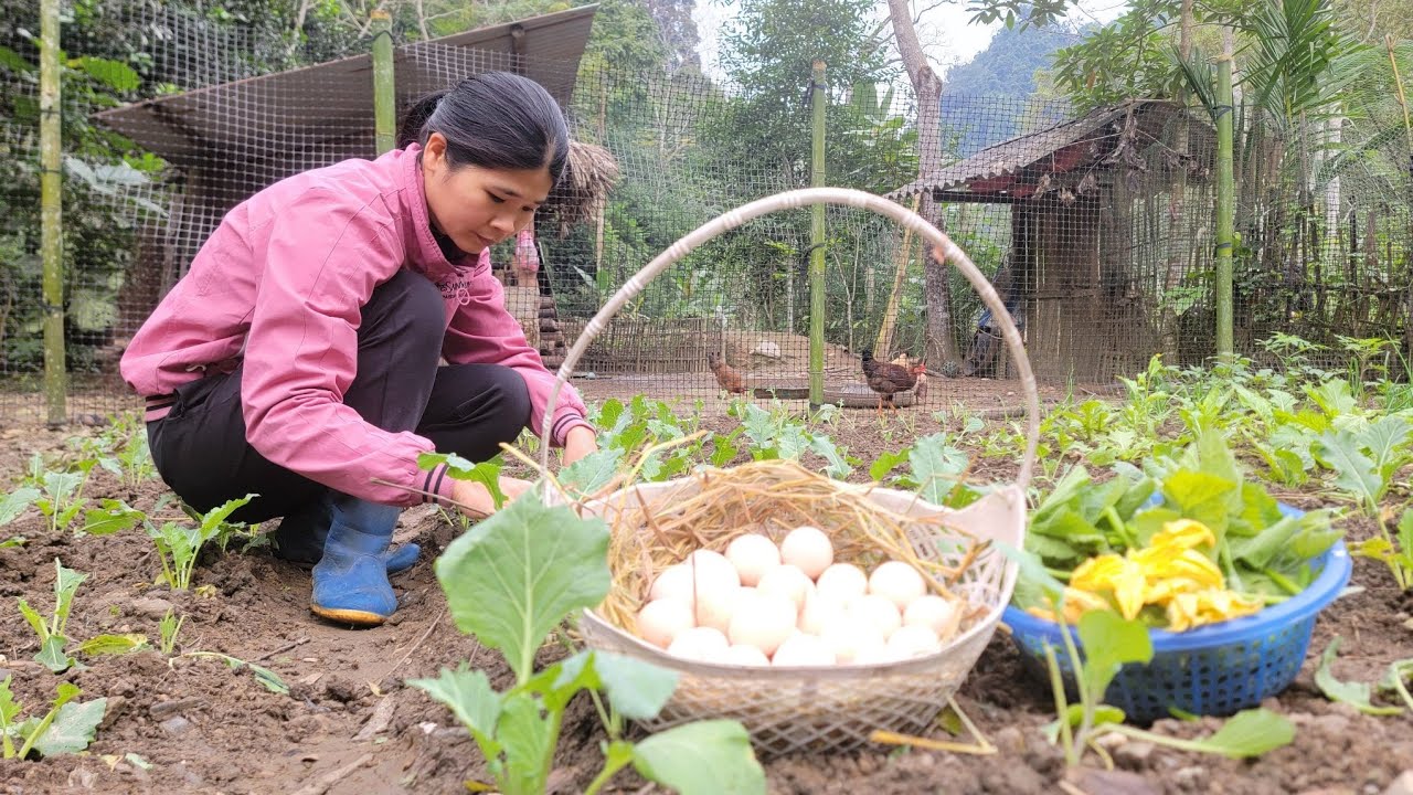 Harvesting Fresh Greens | Simple Life on a Small Mountain Farm