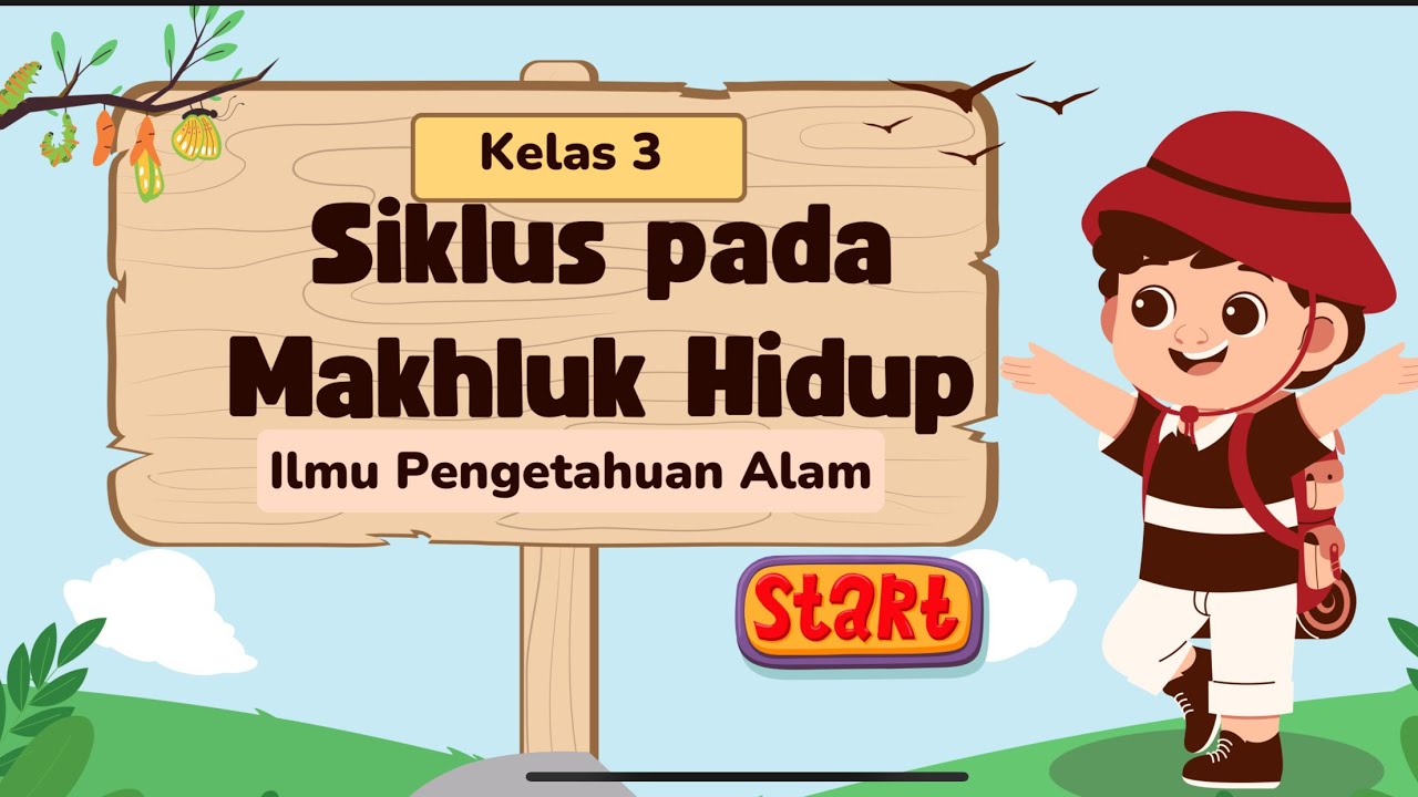 Siklus Pada Makhluk Hidup Kelas 3