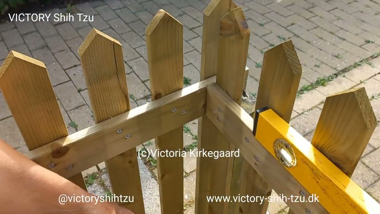 VICTORY Shih Tzu Our New Fence