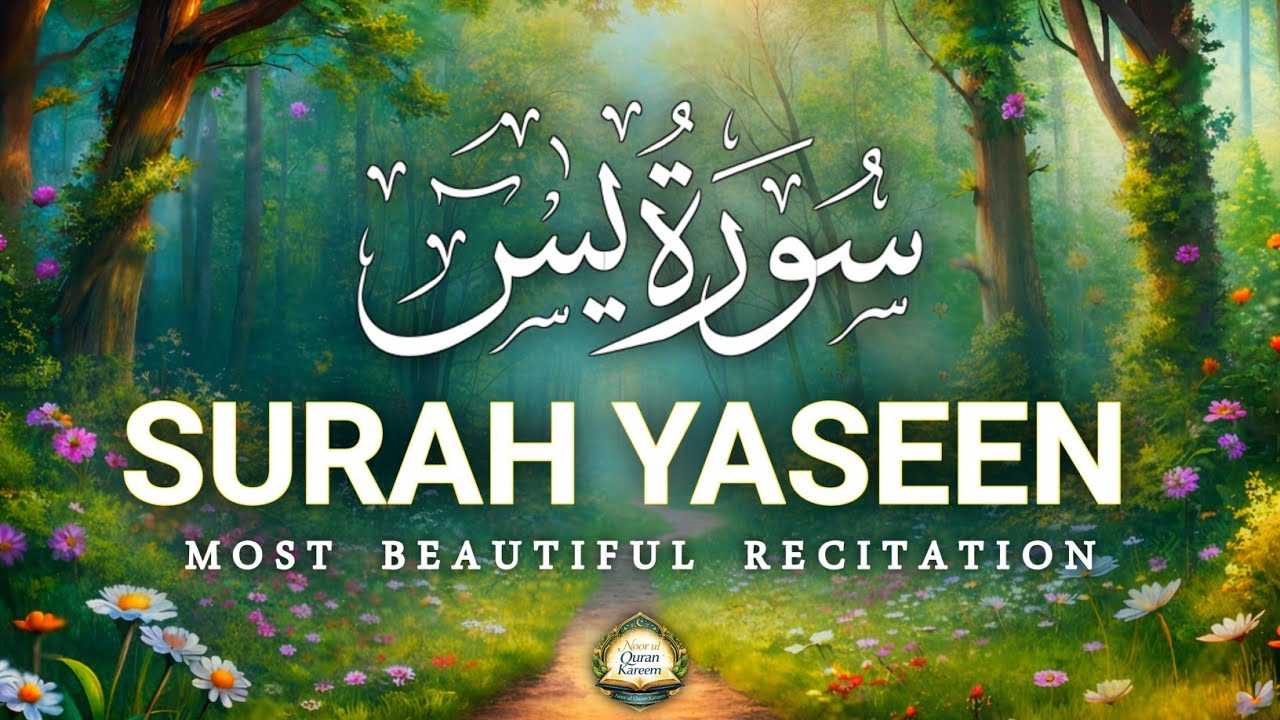 Surah Yaseen (سورة يس) | Beautiful Quran Recitation | Calm & Peaceful Tilawat for Relaxation 📖