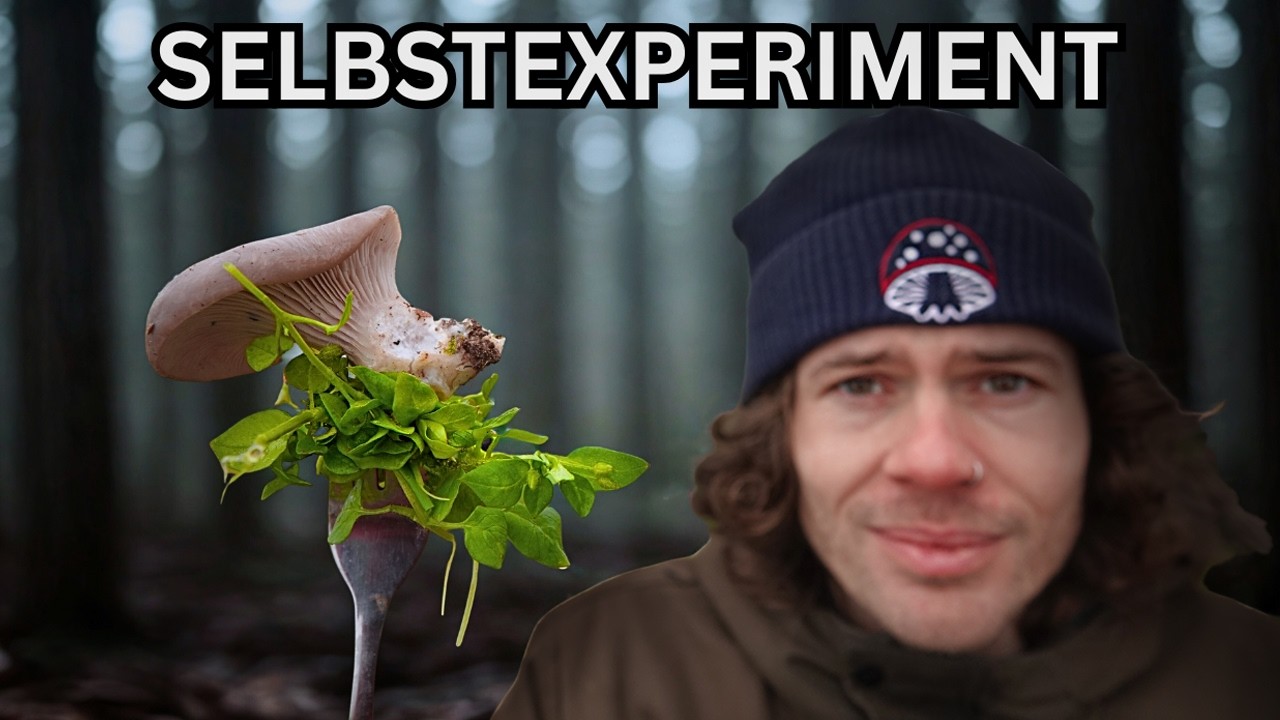 1 Tag Ernährung nur aus dem Wald Folge 1: Januar