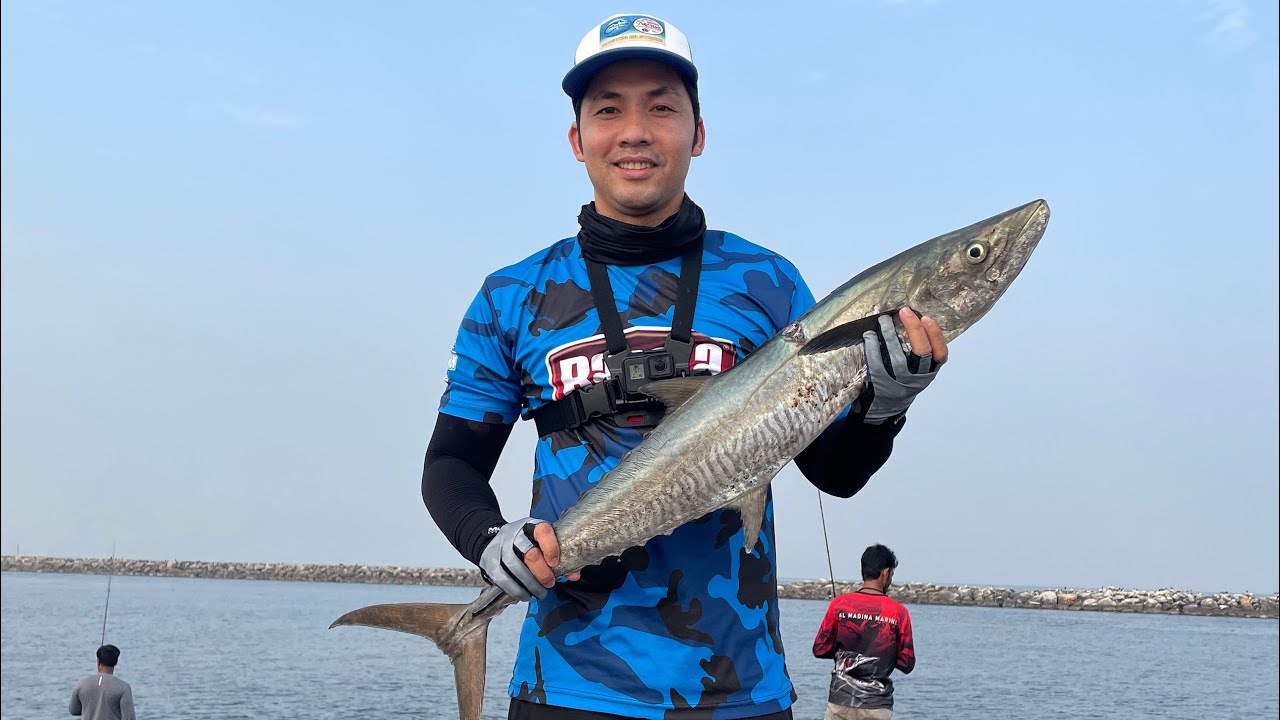 King Fish Season 2023| Best Fishing Spot in UAE | Best Jig for King Fish | Al Zorah Ajman