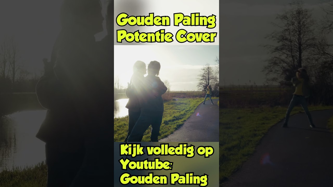 Volledige versie in desc! #shorts #potentie #cover  @StefandeVries95 @bramkrikke