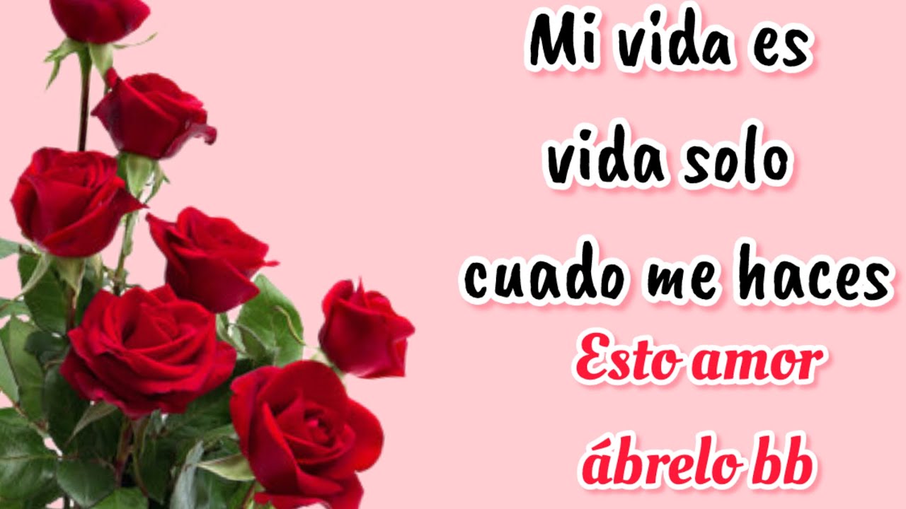 Mi vida es vida amor solo cuando tú me haces esto ….. 💖🥰