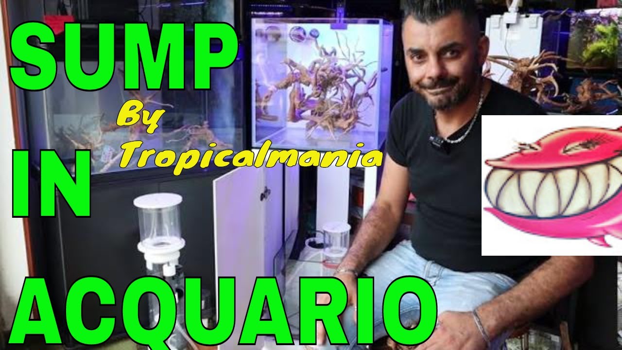 SUMP in acquario!! SUMP si o SUMP no? L'utilità di una SUMP by Tropicalmania 😀