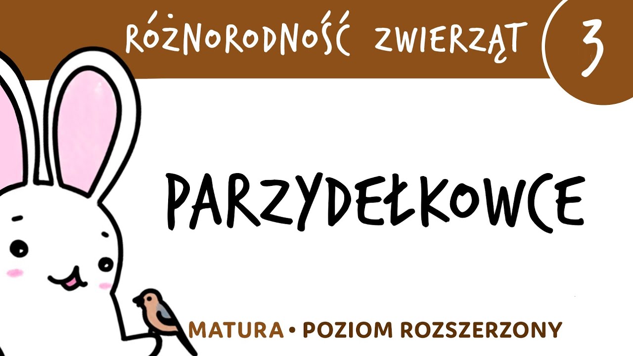 Różnorodność zwierząt 3 🐸 Parzydełkowce - matura z biologii rozszerzona