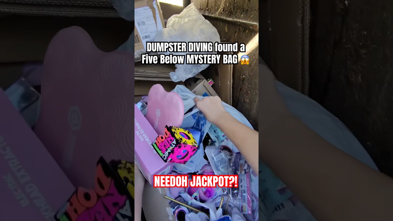 What&rsquo;s inside this Five Below mystery bag?! #dumpsterdiving #needoh #fivebelow #jackpot