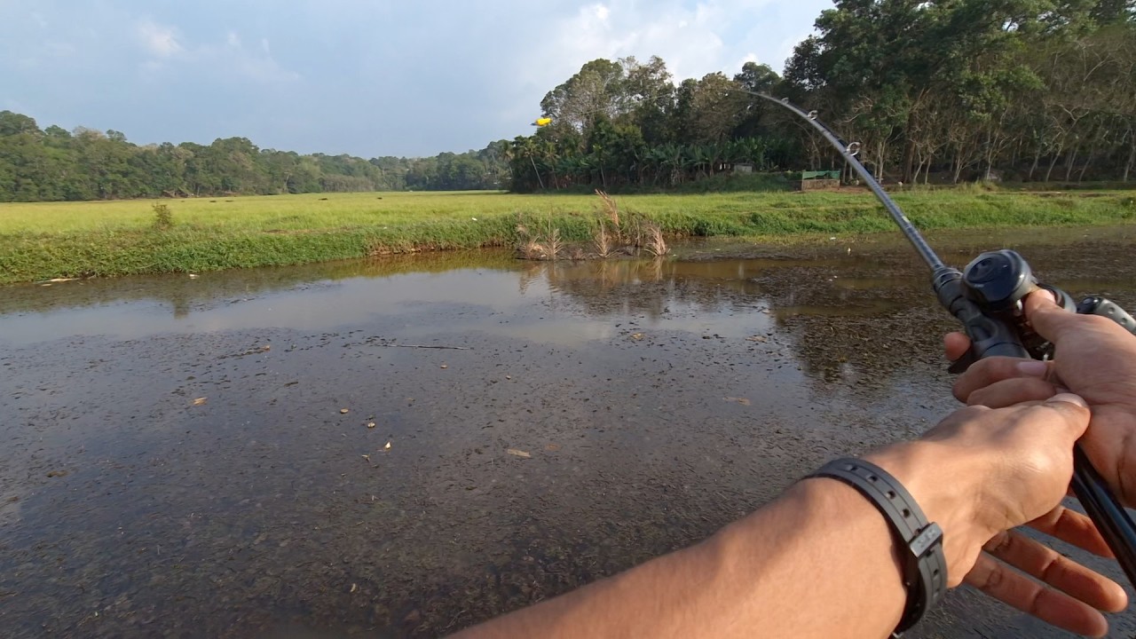 Calm POV Snakehead Fishing | Walking a New Spot